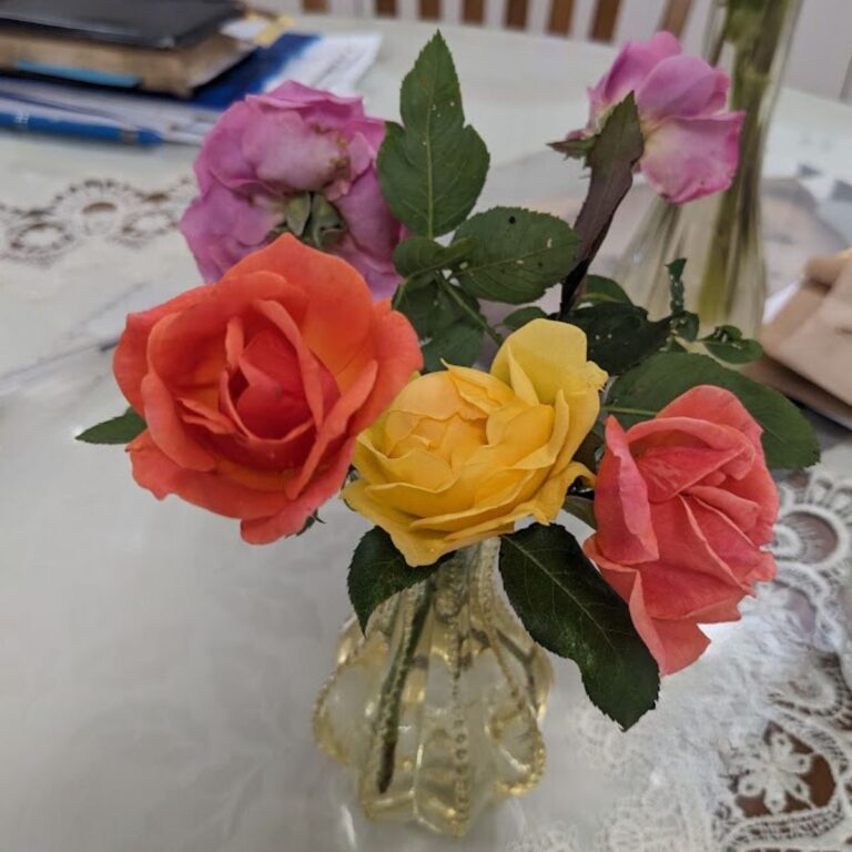 colorful roses in crystal vase.
