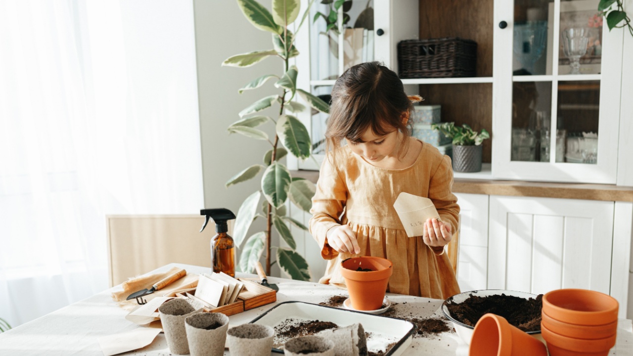 6 years old girl planting herbs at home