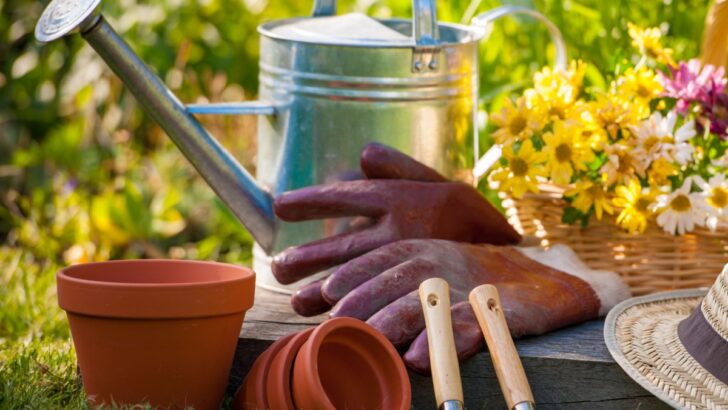 Dollar Tree Gardening Hacks: TikTok Creator Shares Budget-Friendly Finds