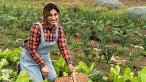 Latin female farmer harvesting lettuce and vegetables from garden - Farm people lifestyle concept
