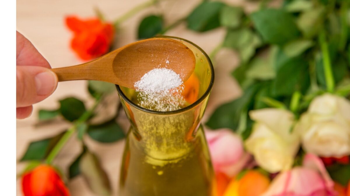 Person adding white flower food powder inside cut flower vase so cut flowers last longer fresh