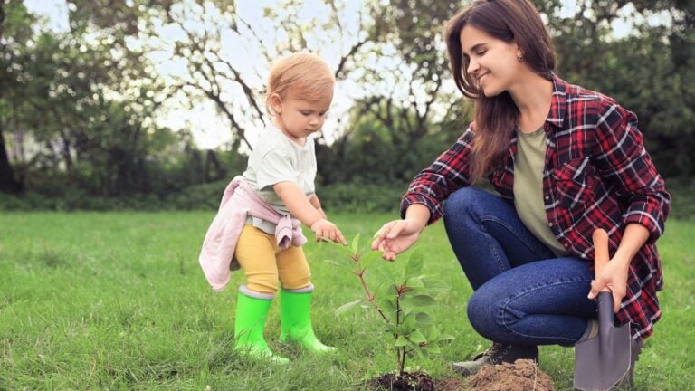Planting a tree