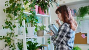 Young woman watering pots with plants from watering can,