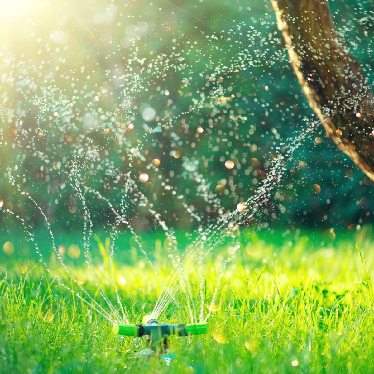 Smart garden activated with full automatic sprinkler irrigation system working in a green park, watering lawn, flowers and trees