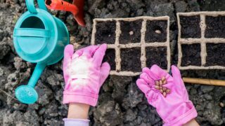 Top view of girl farmer hands planting seeds for her hobby garden. Activities for growing plants with children concept. Kids learning gardening outdoors.