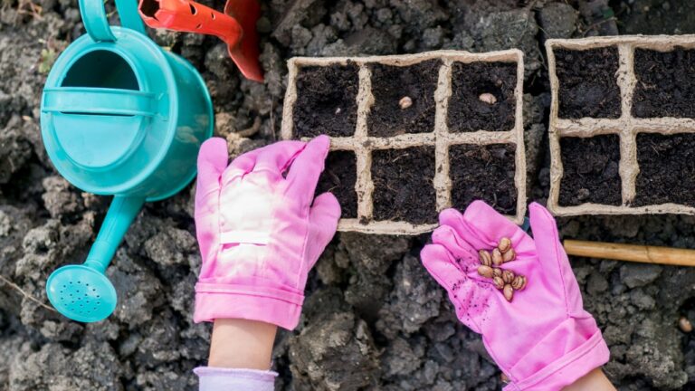 Top view of girl farmer hands planting seeds for her hobby garden. Activities for growing plants with children concept. Kids learning gardening outdoors.