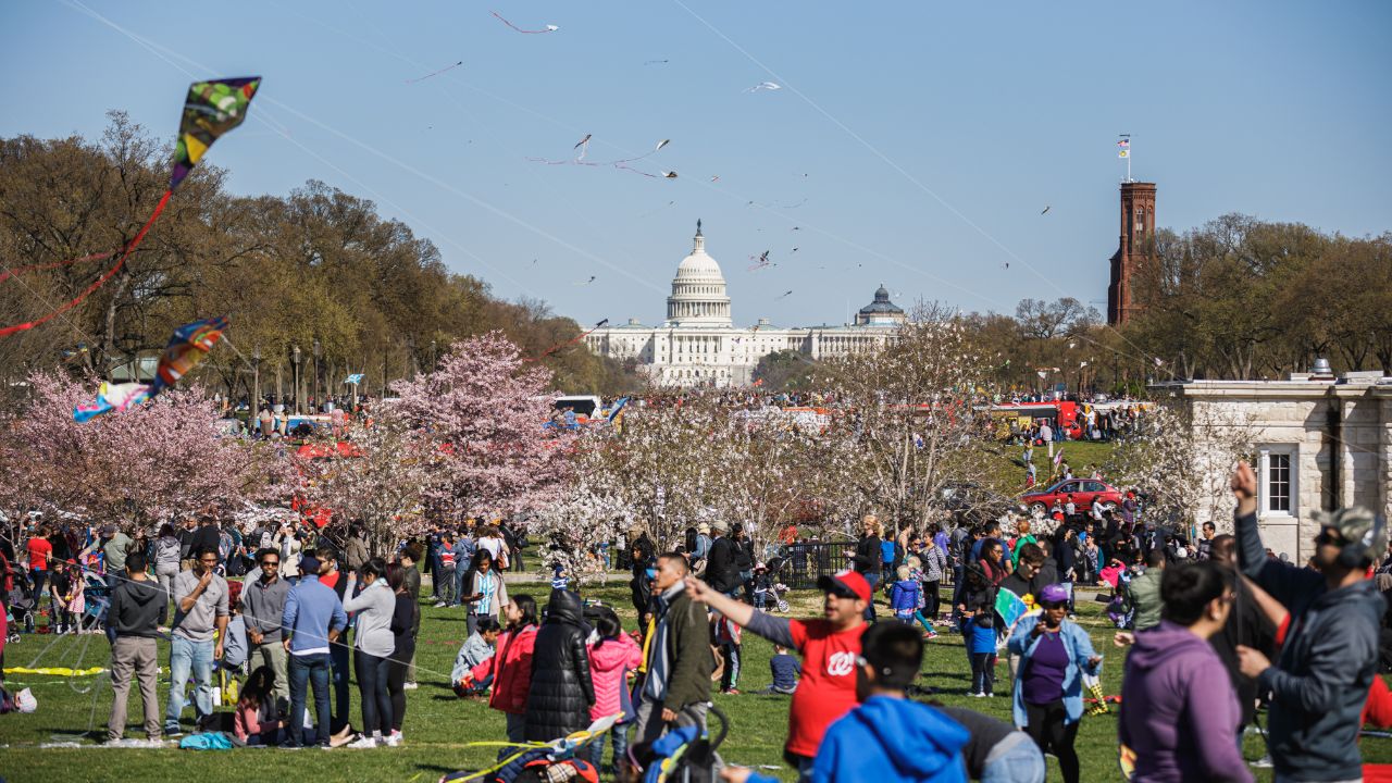 Crowds at National Mall for annual Kite Festival, a National Cherry Blossom Festival event, a celebration of Japan's gift of cherry trees to US beginning in 1912