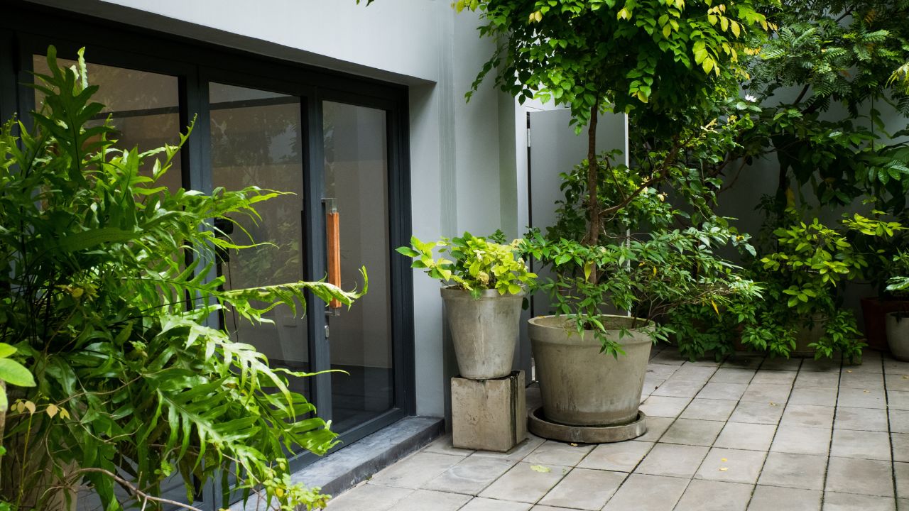 Modern door in summer garden.