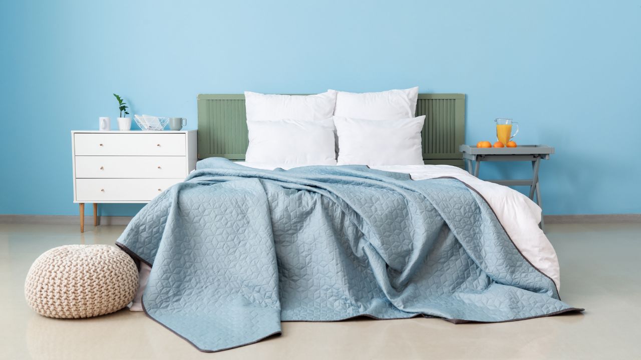 Double bed near color wall in interior of stylish bedroom