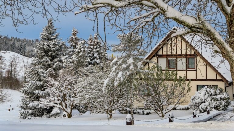 Winter wonderland, snowy home by the forest near Zurich, Stallikon Switzerland