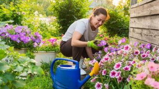 Young woman farm worker gardening flowers in garden