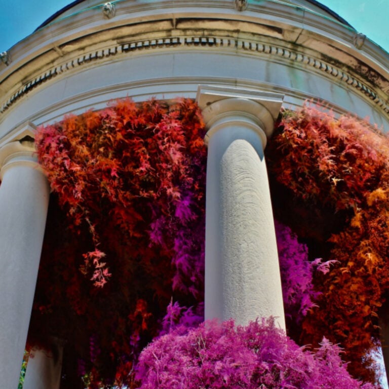 2025 Spring Flower and Garden Festivals To Check Out for a Blooming Good Time