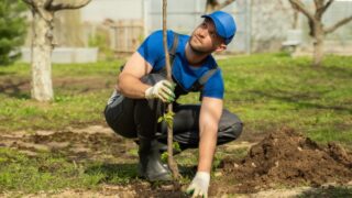 A landscaper planting a tree at a home.