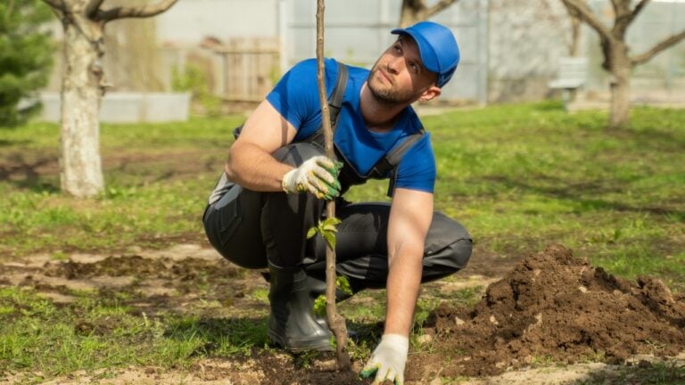 A landscaper planting a tree at a home.