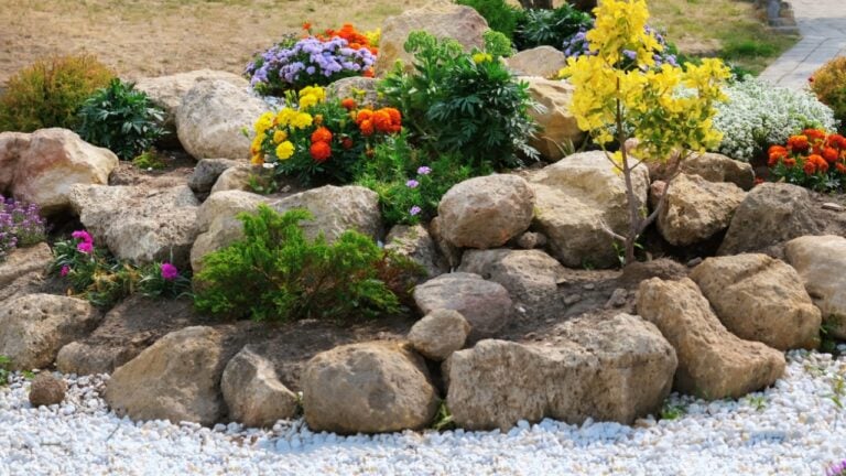 panorama round flower bed of flowers and stones