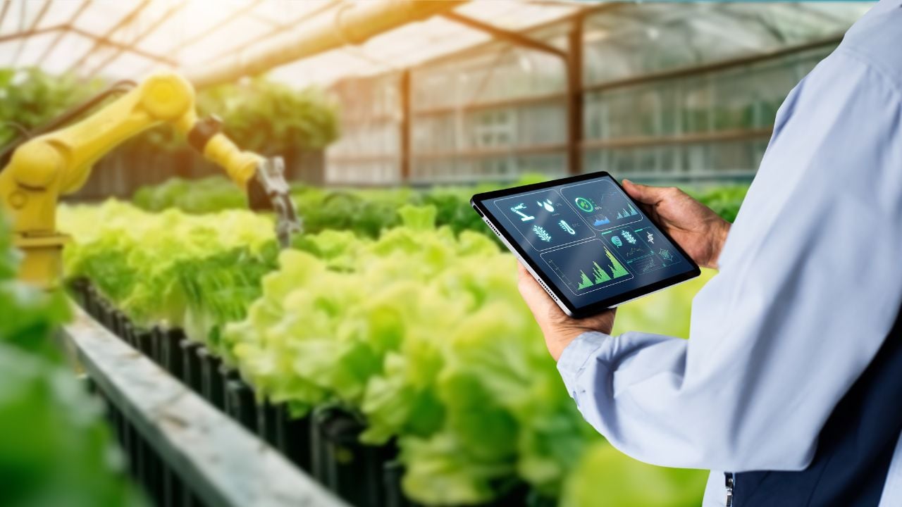 Smart Automation AI farming argriculture concept.Man hands holding tablet on blurred organic hydroponic vegetable garden as background