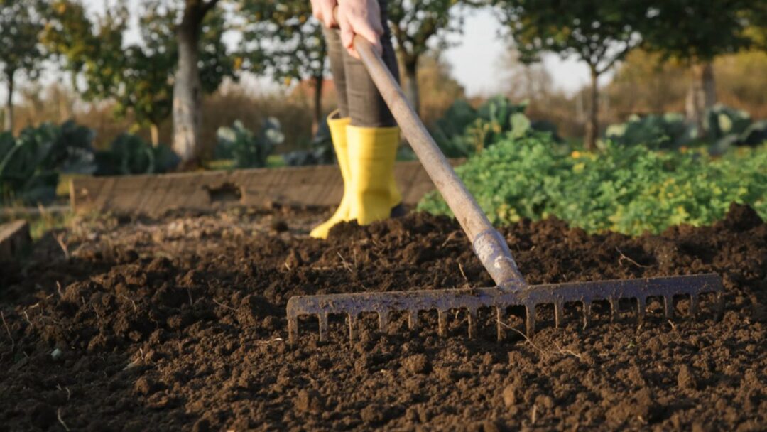 7 Steps To Properly Prepare Soil For Planting
