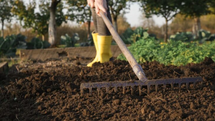 7 Steps To Properly Prepare Soil For Planting