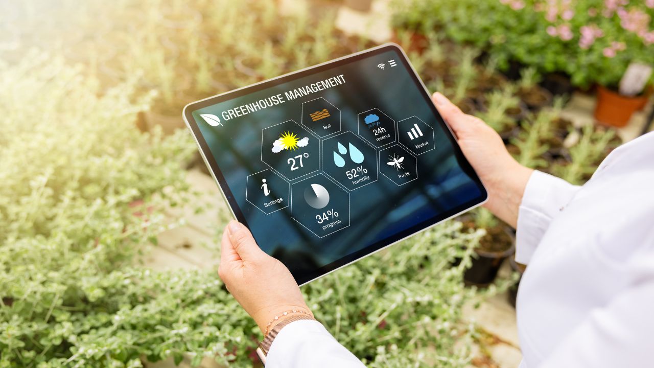 Woman using innovative smart tech for greenhouse plant management
