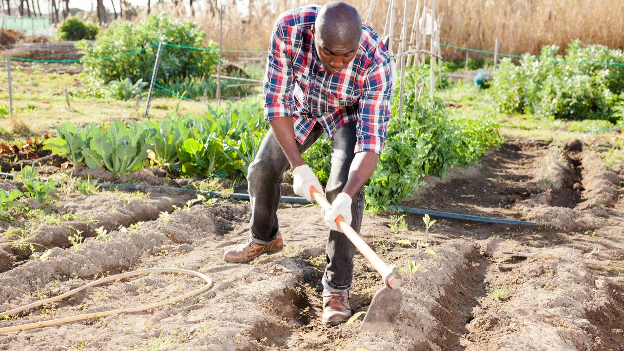 Portrait of male gardener tilling the soil at homestead