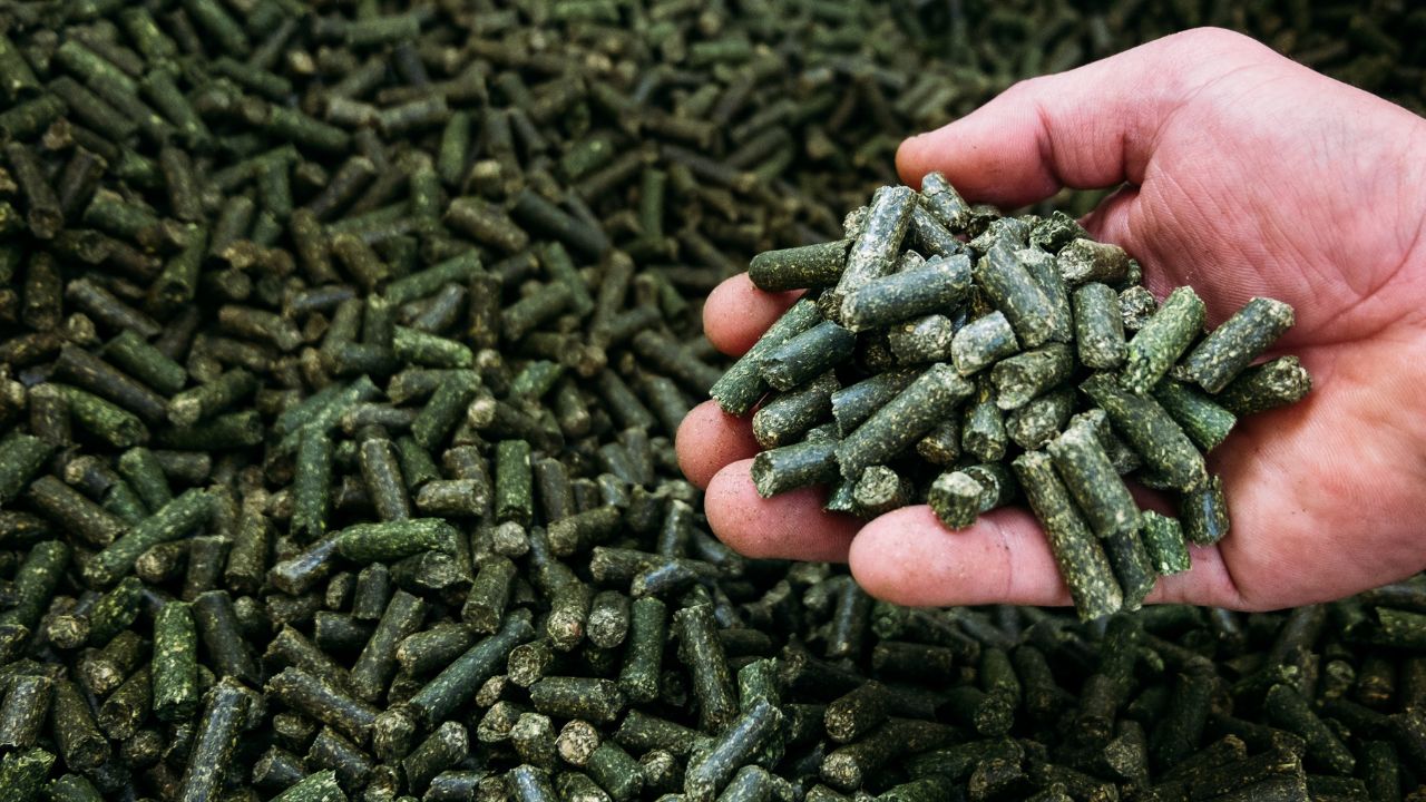 a large number of alfalfa green granules in a warehouse for the production of agricultural feed ready for packaging