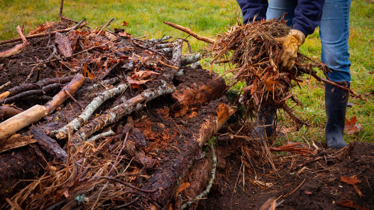 Person adding partially decomposed biomatter while making a Hugelkultur no-dig raised bed