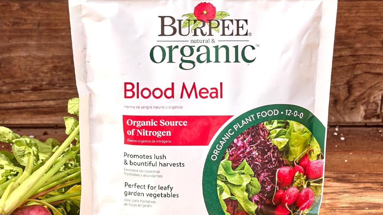 Blood meal