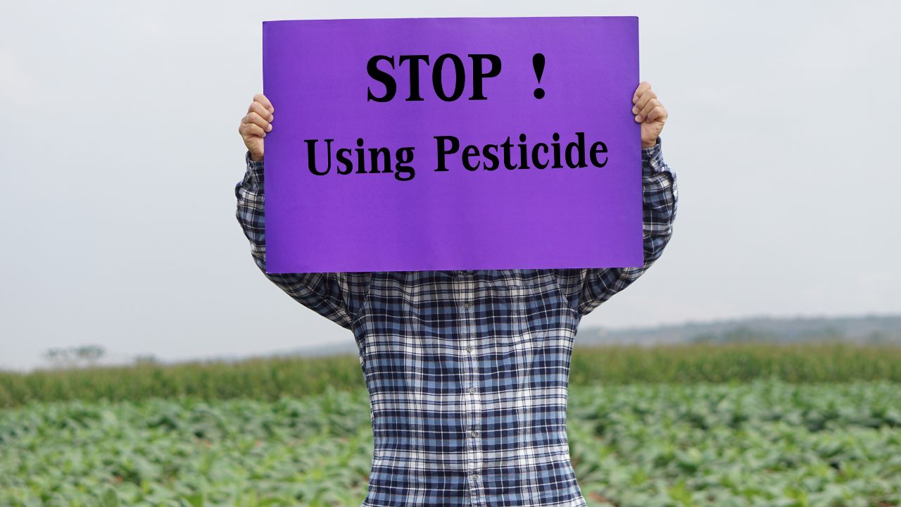 Text Stop Using Pesticide on paper poster, held by farmer at garden. Concept, campaign for calling famers or gardeners to stop using pesticide or chemical with vegetables.