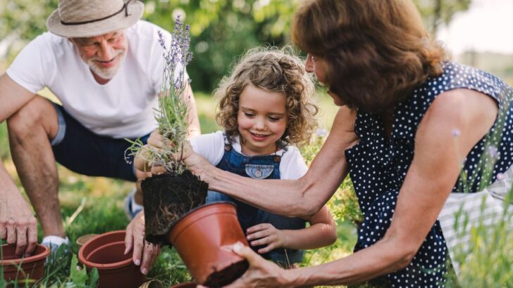 How to Start and Grow a Garden for Dirt Cheap