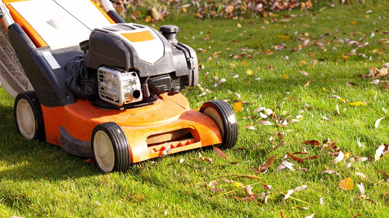 Autumn season, lawn mowing in the garden
