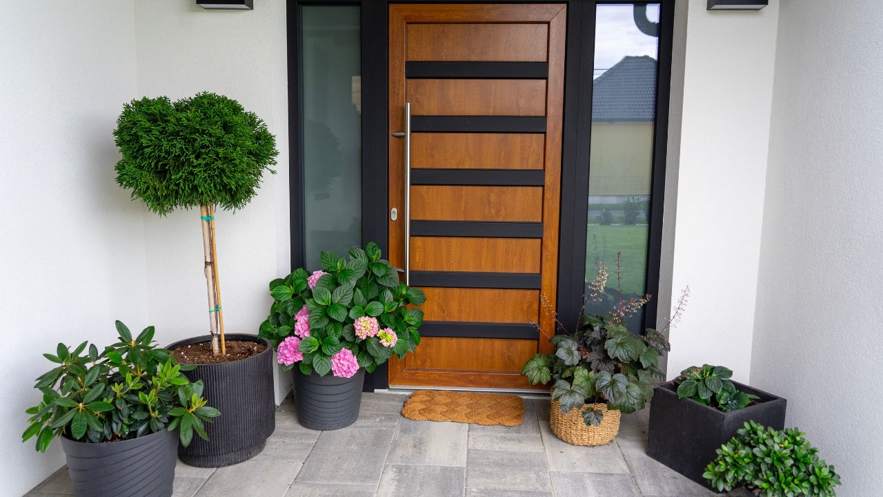 Entrance of a modern house gray wooden door white walls and flower pots with plants