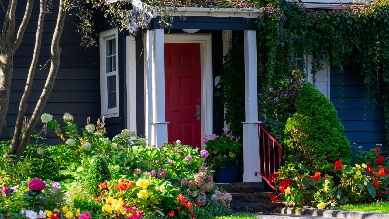 A red door on a wooden navy blue house with white trim. The cottage has lush greenery around the entrance: red, yellow, pink, and white colored flowers, hydrangea shrubs, and green grass in front.
