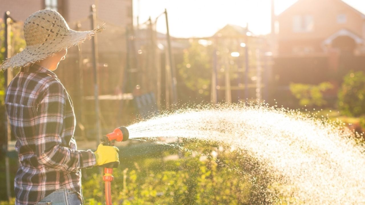 Banner woman gardener in work clothes watering the beds in her vegetable garden on sunny warm summer day. Concept of working in the garden and your farm with copy space