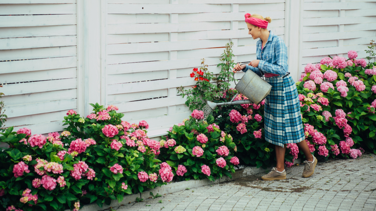 happy woman gardener with flowers. Flower care and watering. soils and fertilizers. Greenhouse flowers. woman care of flowers in garden. hydrangea.