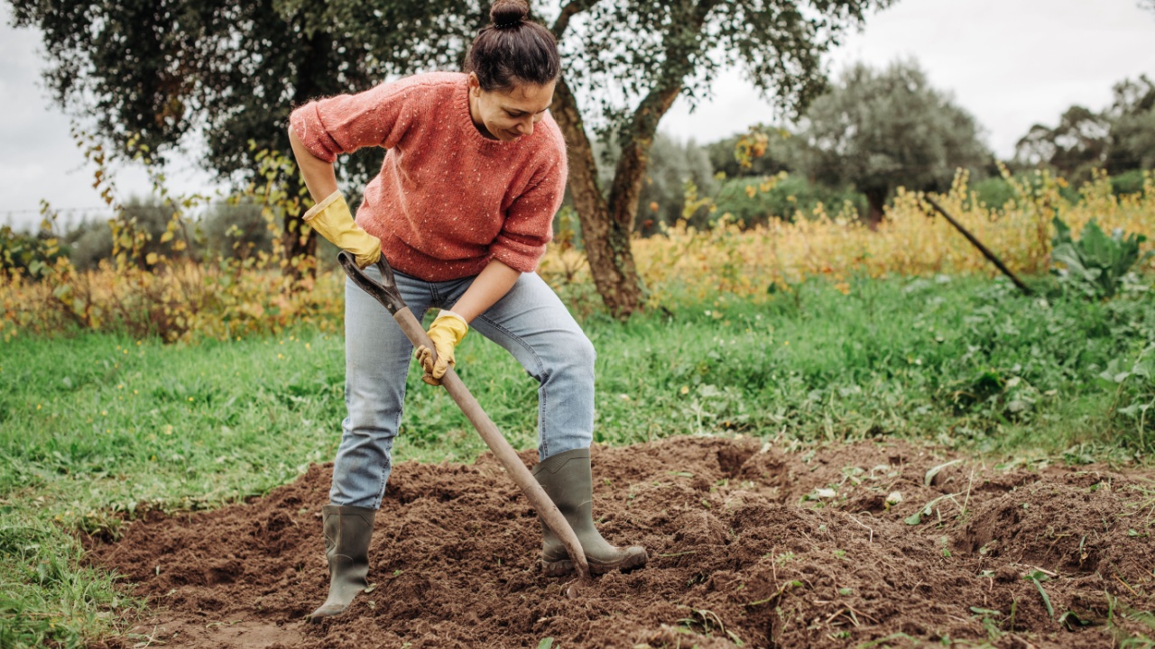 Female farmer digging ground in cloudy autumn day. Woman working with shovel in field