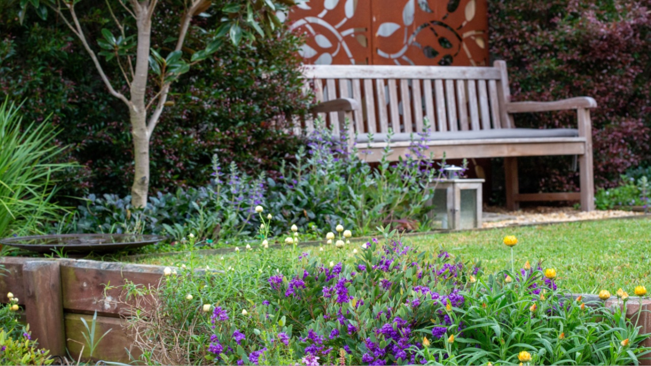 Australian cottage garden style with lots of colourful flowering native plants