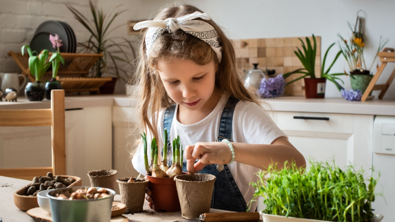 little girl planting seeds in her kitchen