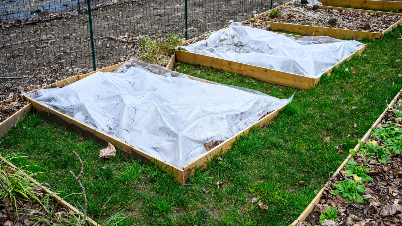covered garden beds for frost winter