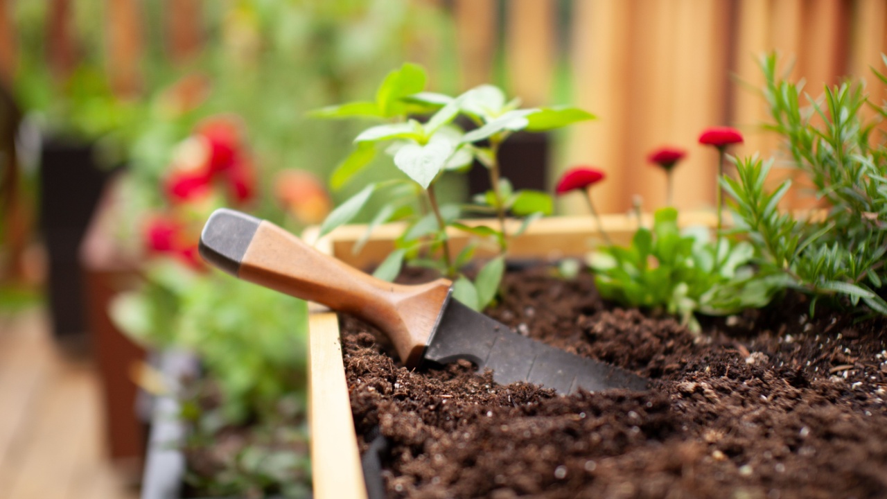 A hori-hori gardening tool can be used to help weeding, cutting roots, transplanting, removing plants, sod cutting, and splitting perennials. It's extremely handy and multipurpose.