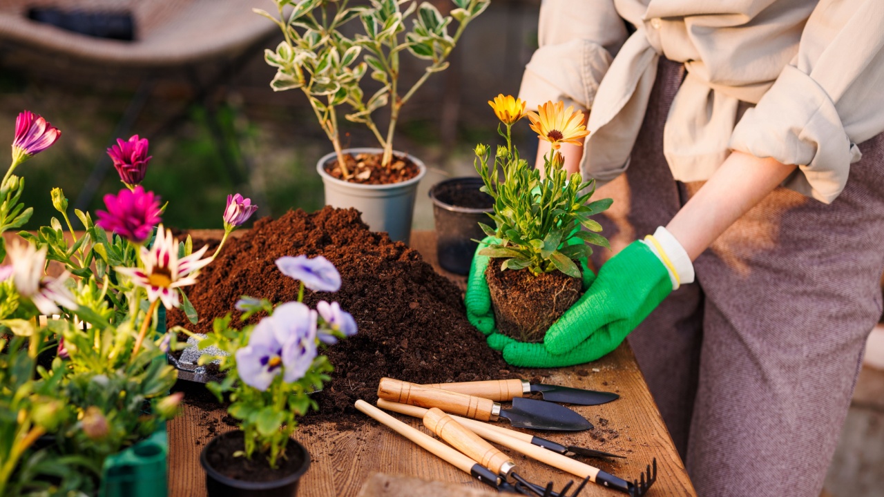 gardener plants flowers in the garden close-up, garden care, gardening tools