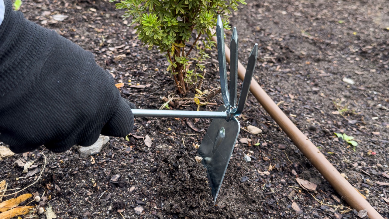 woman hand hoeing weeds, in spring soil preparation in garden in spring