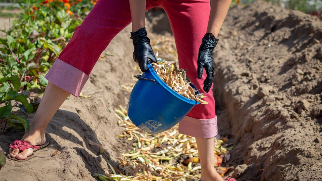 trench composting woman in garden