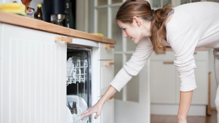 Make These Clean and Simple Dishwasher Tablets at Home