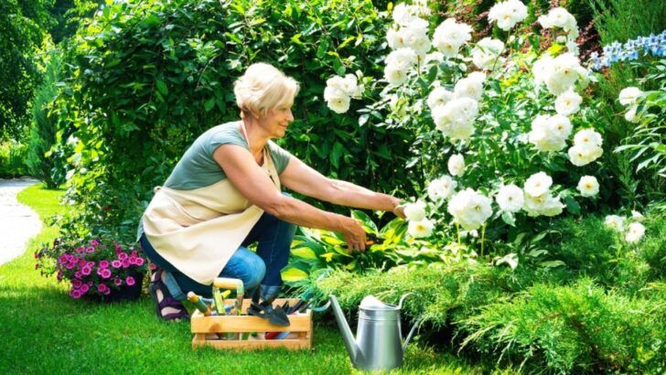 Garden Must Haves You’ll Wonder How You Lived Without