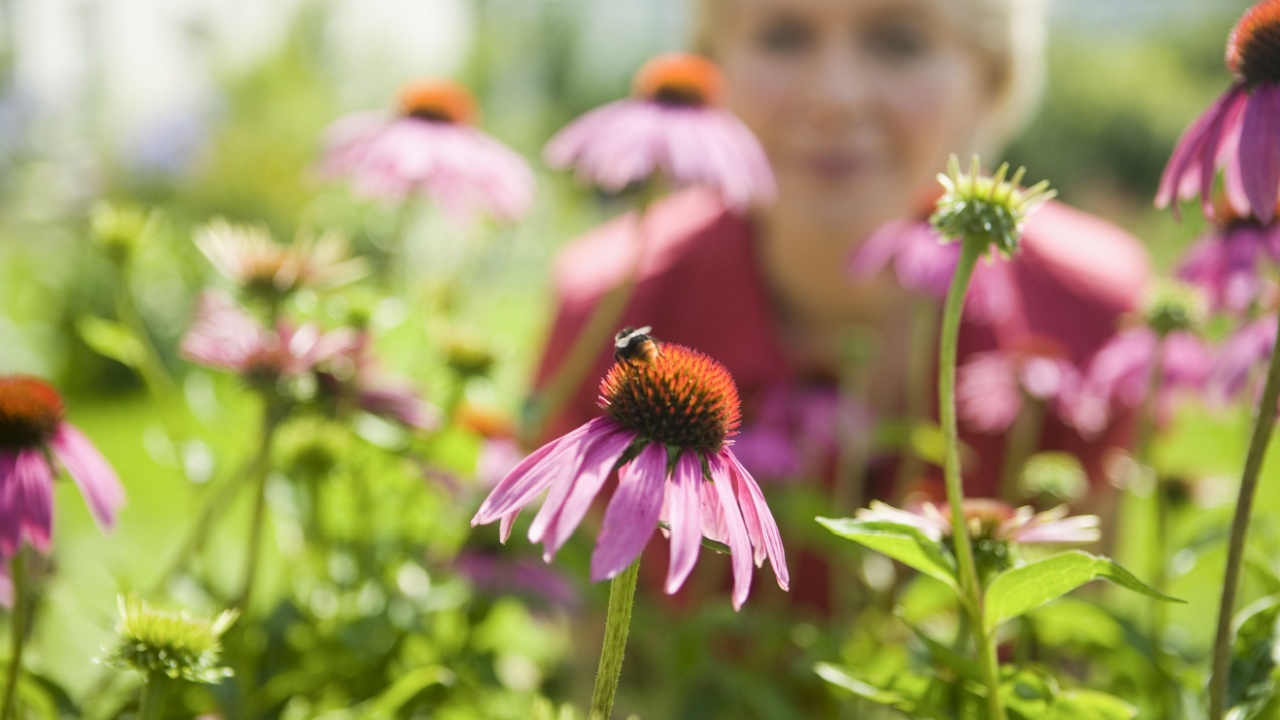 Woman looking bee on flower