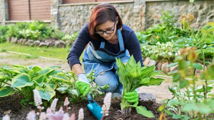 No Green Thumb Needed: Year-Round Plants That Practically Take Care of Themselves