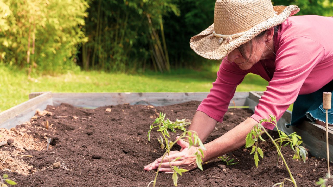 Attractive woman making gardening on a sunny day with a beautiful hat. Eco earth day concept. Eco friendly. Save the planet. Gardening concept. Make your own orchard.