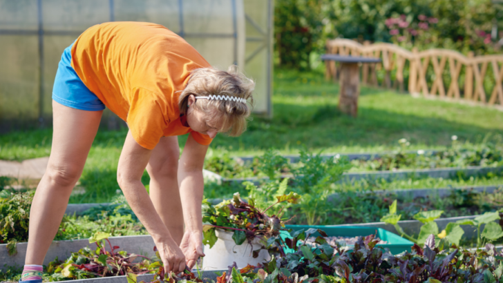 Gardening Hacks to Save Your Knees and Back this Season