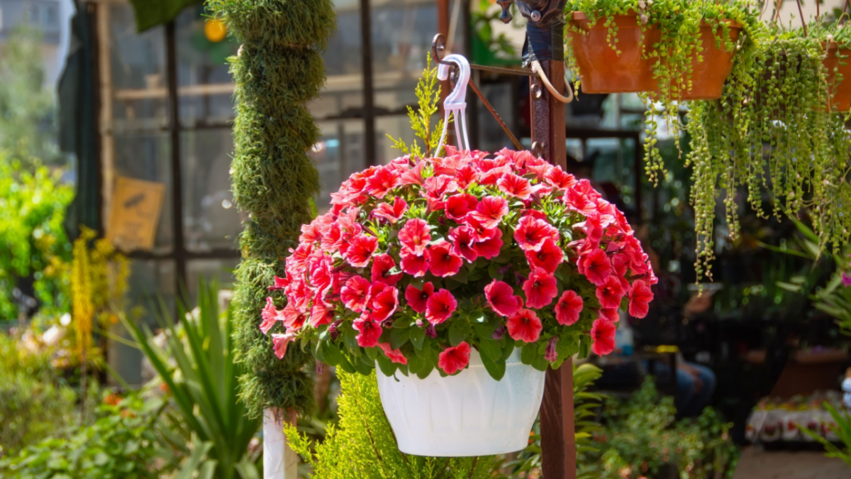 How to Use a Double Planter Setup to Max Out Your Curb Appeal