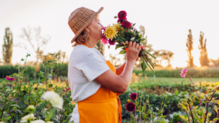 senior woman smelling flowers from her garden field dahlias and more